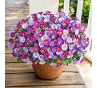 Realistic Artificial Flowers for Outdoors, 12 Bundles Full Daisy UV Resistant Artificial Outdoor Flowers, Faux Flowers for Outdoor Planters, Outdoor Fake Plants for Summer Front Door Yard Garden Home