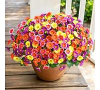 Realistic Artificial Flowers for Outdoors, 6 Bundles Full Daisy UV Resistant Artificial Outdoor Flowers, Faux Flowers for Outdoor Planters, Outdoor Fake Plants for Summer Front Door Yard Garden Home