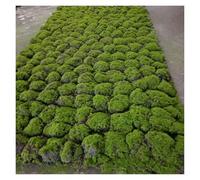 Realistic Artificial Grass Wall Décor, Faux Moss Carpet for Living Room, Garden, Terrace, Bonsai Landscape Model Decoration (B)