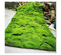 Realistic Artificial Grass Wall Décor, Faux Moss Mat for Living Room, Garden, Terrace, Landscape Decoration for Bonsai (D) - Indoor/Outdoor Use