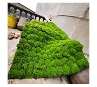 Realistic Artificial Grass Wall Decor, Faux Moss Rug for Living Room, Garden, Terrace, Landscape Model for Bonsai, Indoor/Outdoor Decoration