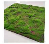 Realistic Artificial Grass Wall Decor Mat, Foam Turf for Living Room, Garden, Terrace, Landscape Decoration for Bonsai - Perfect Indoor/Outdoor Greenery.