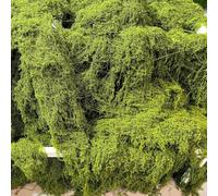 Realistic Artificial Moss for Creative Projects, Perfect for Wreath Making and Indoor Plant Enhancements (100g)