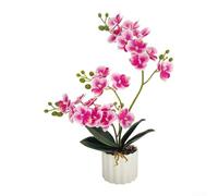 Realistic Artificial Orchid for Living Room Office or Wedding Setup Featuring Butterfly Orchid Anatomy and Non-Fading Plastic Build (F)