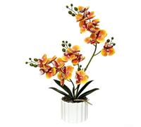 Realistic Artificial Orchid for Living Room Office or Wedding Setup Featuring Butterfly Orchid Anatomy and Non-Fading Plastic Build (B)