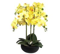 Orchid Artificial Yellow Black Ceramic Planter Botanik, Yellow