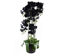 Realistic Artificial Orchid Plants Fully Potted