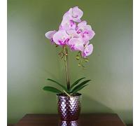Realistic Artificial Orchid Plants Fully Potted