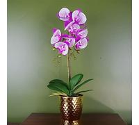 Orchid Artificial Purple White 50Cm Gold Pot Phalaenopsis Botanik, Pink