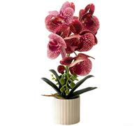 Realistic Artificial Phalaenopsis Orchid 36cm Soft Glue