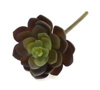Realistic Artificial Succulent Echeveria - Green Mauve