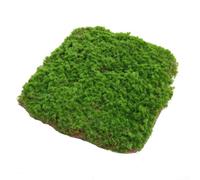 Realistic Artificial Turf for Indoor Outdoor Use, Perfect for Any Space 20x20/30x30/40x60cm (Green 40x60)