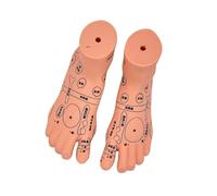 Realistic Baby Anatomy Model Infant Massage Training Model for Pediatric Acupoints Massage Practice and Teaching Tool Infant Anatomy with Pressure Points