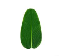 Realistic Banana Leaf Foliage for Hawaiian Luau Decor Jungle Beach Party Table Scatter Artificial Tropical Leaves for Wedding Event and Home Use (4PCS-Large)