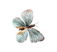 Realistic Butterfly Hair Clip Side Barrette For Women Daily Wear Great For Adding A Touch Of Elegances For Special Event