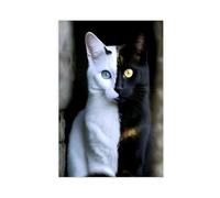 Realistic Cat with Black And White Odd-Coloured Eyes Canvas Poster Bedroom Decor Landscape Office Room Decor Gift 12x18inch(30x45cm)
