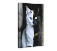 Realistic Cat with Black And White Odd-Coloured Eyes Canvas Poster Bedroom Decor Landscape Office Room Decor Gift 24x36inch(60x90cm)