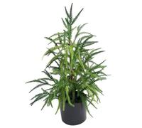 Realistic Christmas Tree, 22 Inch Lifelike Norfolk Pine Tree in Pot, Plastic Mini Pine Trees Faux Christmas Tree for Indoor Table Desk Home Decor