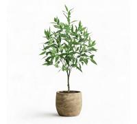 Realistic Eucalyptus Tree Artificial in Pot 180 cm, Artificial Plants Large with Silk Leaves, Easy Care, Large Decorative Artificial Plant for Living Room, Office, Balcony, Garden - Modern Home