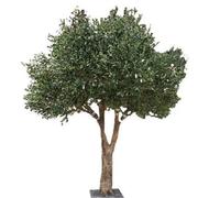 Realistic Faux Olive Tree with Fruits, Artificial Plant Featuring Detailed Plastic Trunk for Interior Decor(2mx1.8m)