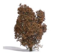Realistic Filigree bush Autumn Busch 3590