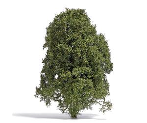 Realistic filigree bush Late summer Busch 3589