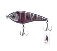 Realistic Fishing Lure 10cm 35g with Sound Bead | 3D for biomimetic design, realistic texture, vivid image, strong attraction for predatory fish