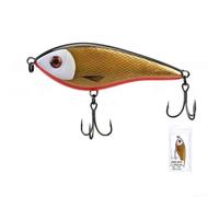 Realistic Fishing Lure 10cm 35g with Sound Bead | 3D for biomimetic design, realistic texture, vivid image, strong attraction for predatory fish