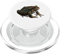 Realistic Frog Biology Drawing Scientific Illustration PopSockets PopGrip for MagSafe