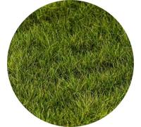 Realistic Green Grass Tuft Strips 12 mm by Green Stuff World