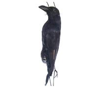 Realistic Hanging Dead Crows, Fake Black Feathered Crow, Hanging Crows Decoy, Raven Film Props, Bird Model, Multifunctional Artificial Crow for Garden, Halloween, Decorations