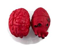 Realistic Heart Prop - Fake Heart And Brain | Halloween Blood Props | Creepy Bloody Heart Ornament | Realistic Simulation Fake Heart Model | Life Size Fake Heart | Bloody Brain Heart On A Plate |