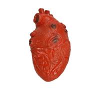 Realistic Heart Prop - Spooky Beating Heart Halloween Props,Fake Heart, Haunted House Props for Decoration, Home, Haunted House