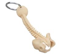 Realistic Human Spine Skeleton Keychain for Everyday Use and Display - Anatomy Supplies, Unique Medical Student Gift, Medical Student Gift, フリーサイズ