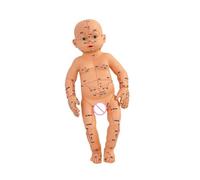 Realistic Infant Body Model Baby Massage Training Model with Acupoints Points for Nursing Training Pediatric Education Infant Anatomy with Pressure Points