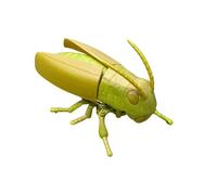 Realistic Insects Beetle Wind-up Toy with Interactive Head and Tail Movement Mechanical Insect Models for Educational Play Indoor Outdoor Use April Fool's Day Favors and Bug (G)