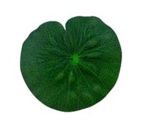 Realistic Lily Pads for Ponds EVA Water Lily Pads, Water Top Decoration
