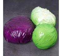 Realistic-Looking PVC Cabbage Decor Model Suitable for Home Kitchen Shelf Dining Room Centerpiece or Retail Store Display (A)