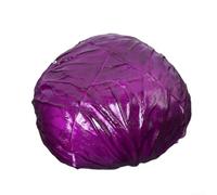 Realistic-Looking PVC Cabbage Decor Model Suitable for Home Kitchen Shelf Dining Room Centerpiece or Retail Store Display (E)