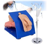 Realistic Male and Female Catheterization Training Mannequin Models | Comprehensive training kit for nurses and students with realistic simulation.(Male)