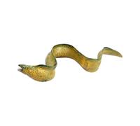 Realistic Marine Eel Figurine Safe ABS Model for Biology Education, Classroom Display & Interactive Learning Realistic Marine Animal Model Educational Animal Figurine Toy Marine Fish Model Figure