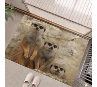 Realistic Photography Style Door Mats Indoor, Machine Washable Soft Doormats, Dirt Trapper Door Mat, Meerkat Rock Entrance Rug, Non-slip Floor Mats For Inside, Front Back Doors(45 x 75 cm)