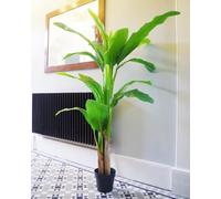 Realistic Potted Artificial Palm and Tropical Trees - Ready to Display