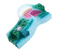 Realistic PVC Plant Anatomy Model Detailed Biology Teaching Tool for Classroom & Science Lab Demonstrations Lab Supplies for Biology Teachers