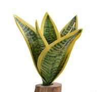 Realistic PVC Snake Plant 19cm Faux Greenery(Green)