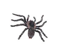 Realistic Science Reusable Plastic Animal Model Figure Brazilian White Spider Figurine Educational Home Decoration Collectibles Story Telling Props Professional Processed