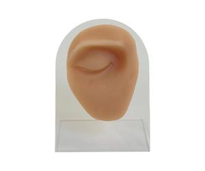 Realistic Silicone Facial Piercing Trainer with Multiple Exercise Pads Silicone Piercing Exercise Model for Medical Training and Aesthetic Skills Development