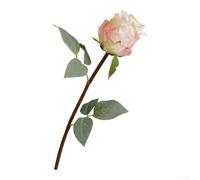 Realistic Silk Artificial Flower Single for stem Home Decor Realistic(Apricot)