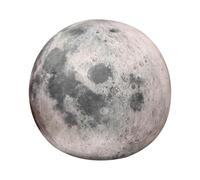 Realistic Space Star Plush Toy,Solar Planet Plush Stuffed Pillow,Science Astronomy Space Solar System Educational Stuffed Planet Dolls for Learning Science, Astronomy (The Moon)