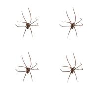 Realistic Spider Earrings Scary Spider Earrings Hand Cuff Costume Cosplay Party Supplies for Women Men Spider Interesting Spider Decorations Role Play Party Supply (4 PCS)